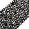 Natural Larvikite Beads Strands G-P573-A54-01-2
