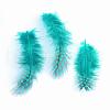 Chicken Feather Costume Accessories FIND-Q048-03-2