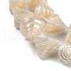 Natural Shell Beads Strands X-SHEL-K009-11-3