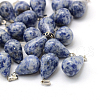 Teardrop Natural Blue Spot Jasper Pendants G-Q435-20-1