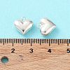 925 Sterling Silver Charms STER-H106-01B-S-5