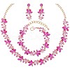 Alloy Rhinestone Jewelry Sets FS-WG043C9-01-4