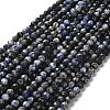 Natural Sodalite Beads Strands G-RM2025-A19-7mm-2