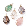 Natural Gemstone Charms PALLOY-JF01340-1