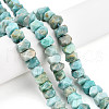 Natural Amazonite Beads Strands G-N347-09A-09-1