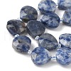 Natural Blue Spot Jasper Beads Strands G-D316-A04-3