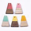 Resin & Wood Pendants RESI-S358-52-2