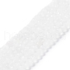 Natural Quartz Crystal Beads Strands G-H002-A02-02-1