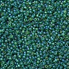 MIYUKI Round Rocailles Beads X-SEED-G007-RR0146FR-3
