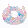 Natural Agate Beads Strands G-T098-04C-2