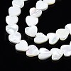 Natural Trochid Shell/Trochus Shell Beads Strands SSHEL-N034-99B-B01-3