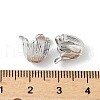 Brass Bead Caps KK-V015-23P-2