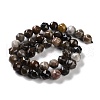 Natural Petrified Wood Beads Strands G-NH0021-A12-02-3