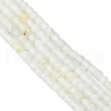 Natural Crackle Agate Beads Strands G-G055-4mm-5-2