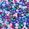 6/0 Opaque Colours Glass Seed Beads SEED-N007-18D-3