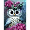DIY Owl Diamond Painting Kit DIAM-PW0013-02J-1