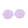 Frosted Transparent Acrylic Beads OACR-P029-19B-04-2