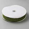 Sparkle Polyester Ribbon OCOR-WH0082-158B-02-2