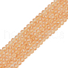 Glass Beads Strands EGLA-A034-T1mm-D23-1