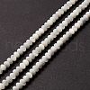 Natural Trochid Shell/Trochus Shell Beads Strands SSHEL-O001-24A-02-4