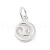 925 Sterling Silver Constellations Charms STER-M118-01J-1