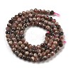 Argentina Natural Rhodonite Beads Strands G-G140-A01-01-3