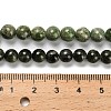 Natural Diopside Beads Strands G-R006-A01-03-5