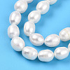 Natural Cultured Freshwater Pearl Beads Strands PEAR-N012-07W-4