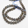 Natural Labradorite Beads Strands G-J120-28-8mm-A-2