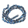 Electroplate Glass Beads Strands EGLA-L045-C-FR01-3
