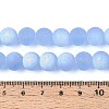 Frosted Transparent Glass Beads Strands GLAA-T032-T10mm-MBB04-4