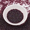 MIYUKI Delica Beads X-SEED-J020-DB1751-2