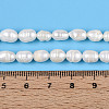 Natural Cultured Freshwater Pearl Beads Strands PEAR-N012-05B-01-5