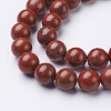 Natural Red Jasper Round Beads Strands GSR10mmC011-2