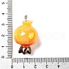 Opaque Resin Pendants FIND-I044-16F-3