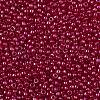 TOHO Round Seed Beads SEED-XTR11-0798-2