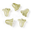 Spray Painted Transparent Glass Beads GLAA-D006-20E-1