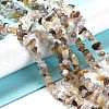 Natural Botswana Agate Beads Strands G-E607-A10-4