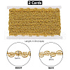 13.5M Polyester Braided Lace Trim OCOR-WH0308-500-2