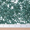 MIYUKI Round Rocailles Beads X-SEED-G007-RR0338-2