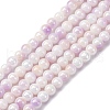 Pearlized Handmade Lampwork Beads Strands LAMP-R020-04F-1