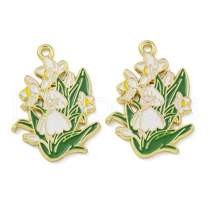 Alloy Enamel Pendants FIND-Z049-01G-B-1
