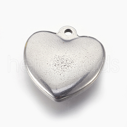 Tarnish Resistant 304 Stainless Steel Pendants STAS-L212-040B-1