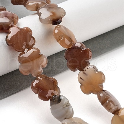 Natural Red Agate Beads Strands G-F769-L01-01-1