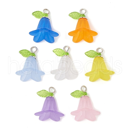 70Pcs 7 Colors Frosted Acrylic Pendants Kit PALLOY-JF02421-S-1