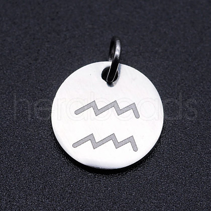 201 Stainless Steel Charms STAS-T049-T643-11P-1