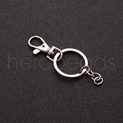 Iron Keychain Clasp PW-WG21368-01-1
