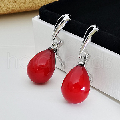 Brass Plastic Hoop Earrings WG47D07-03-1