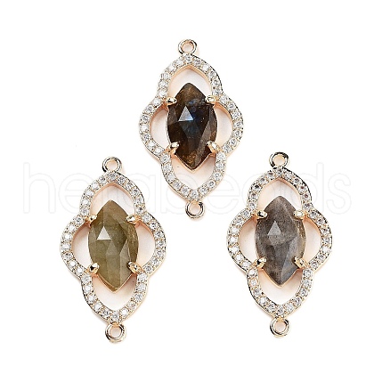 Natural Labradorite Faceted Connector Charms G-B081-01G-02-1