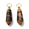 Natural Tiger Eye Openable Perfume Bottle Pointed Pendants G-A026-03-2